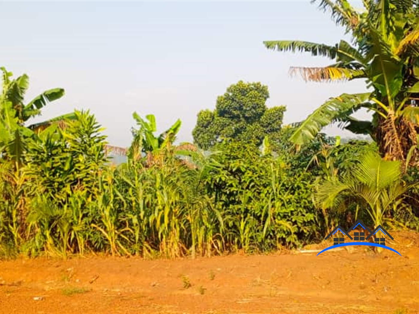 Residential Land for sale in Ssanga Wakiso