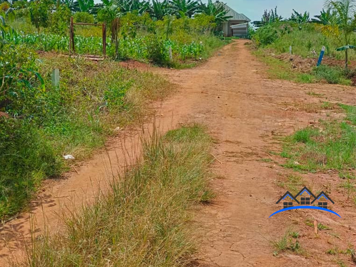 Residential Land for sale in Nsaggu Wakiso