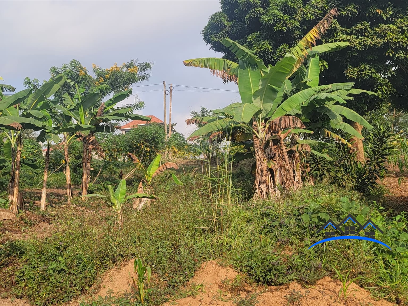 Residential Land for sale in Nsasa Wakiso