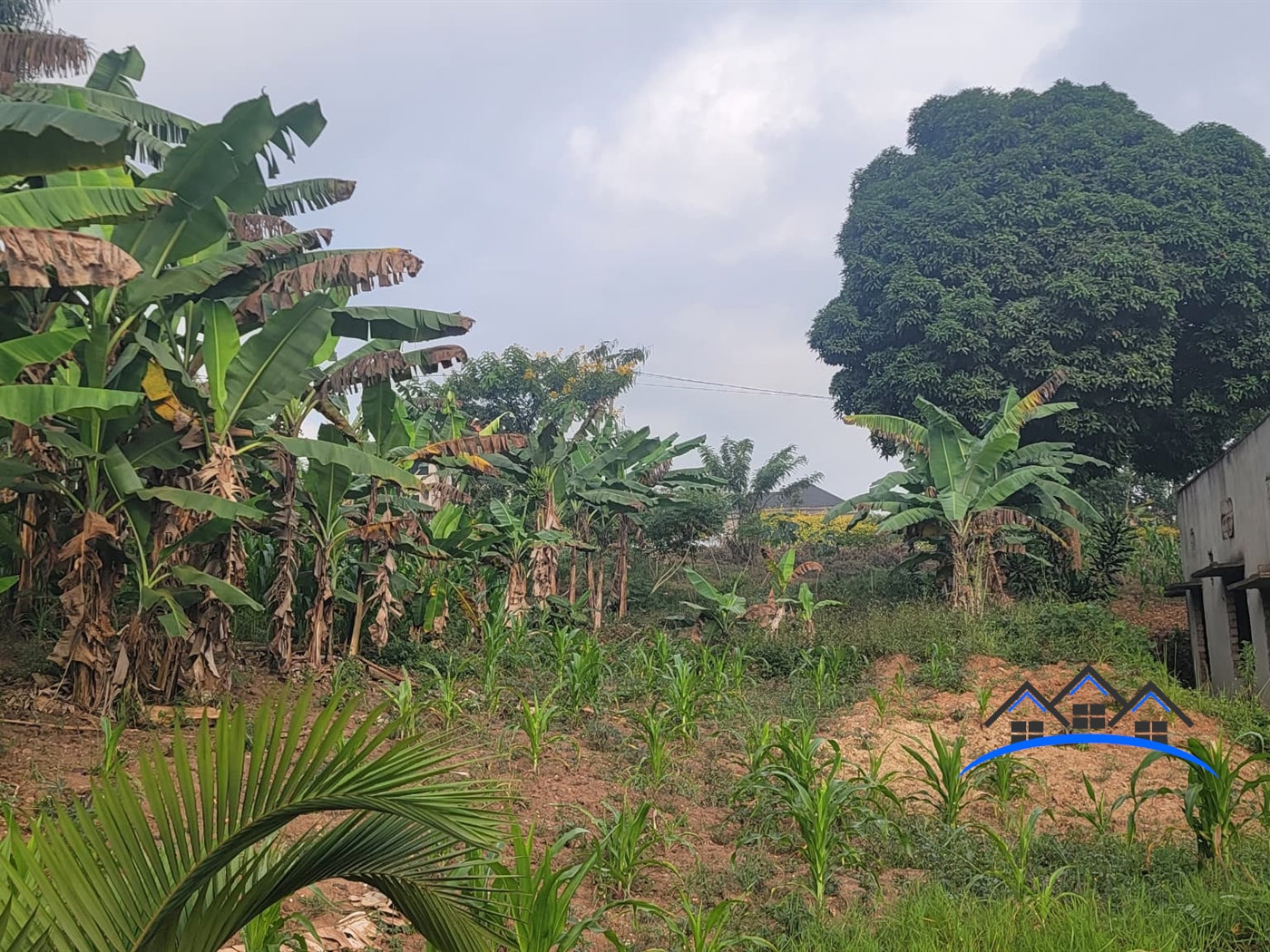 Residential Land for sale in Nsasa Wakiso