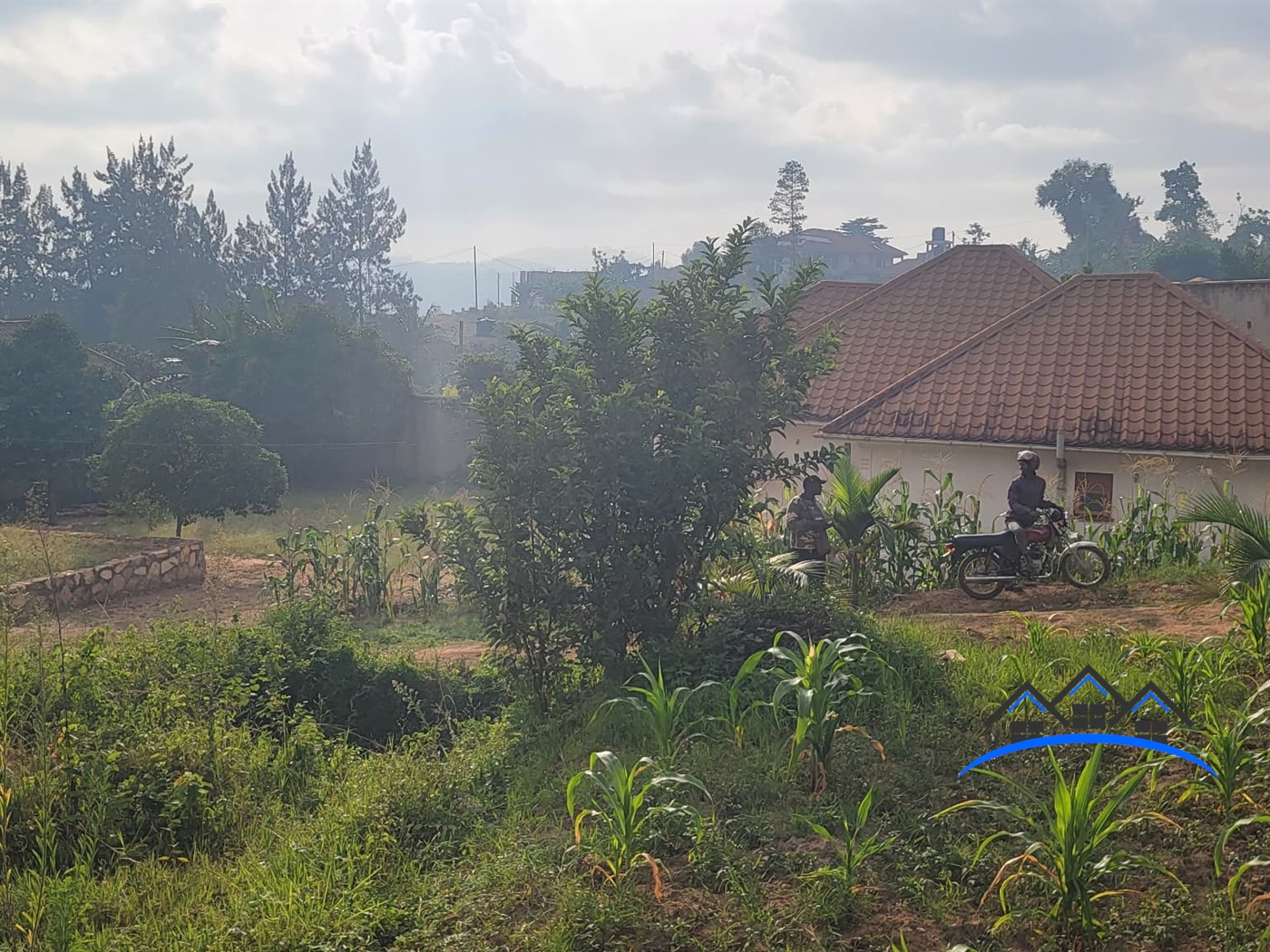 Residential Land for sale in Nsasa Wakiso