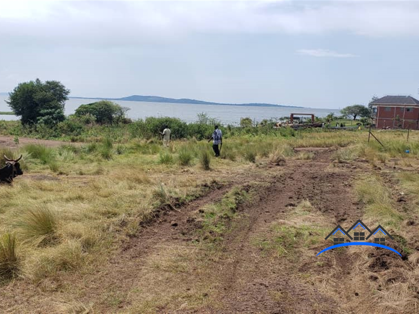 Residential Land for sale in Bwelenga Bugiri