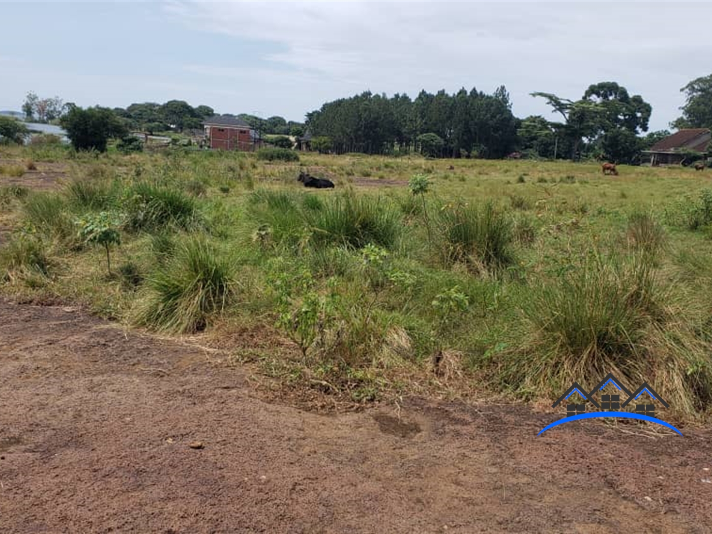 Residential Land for sale in Bwelenga Bugiri