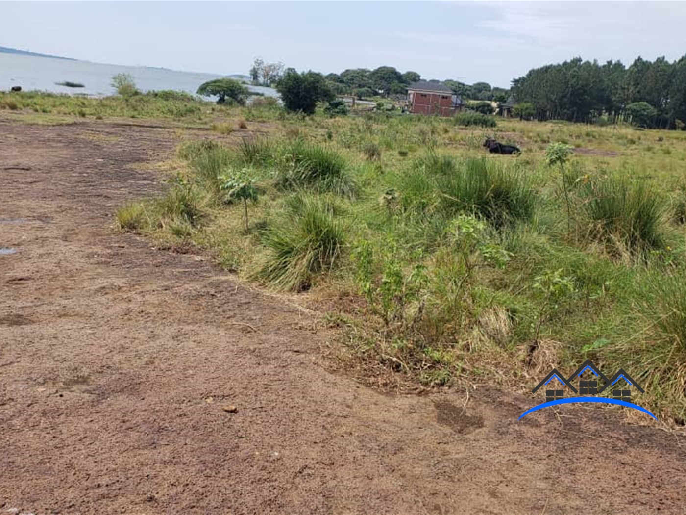 Residential Land for sale in Bwelenga Bugiri