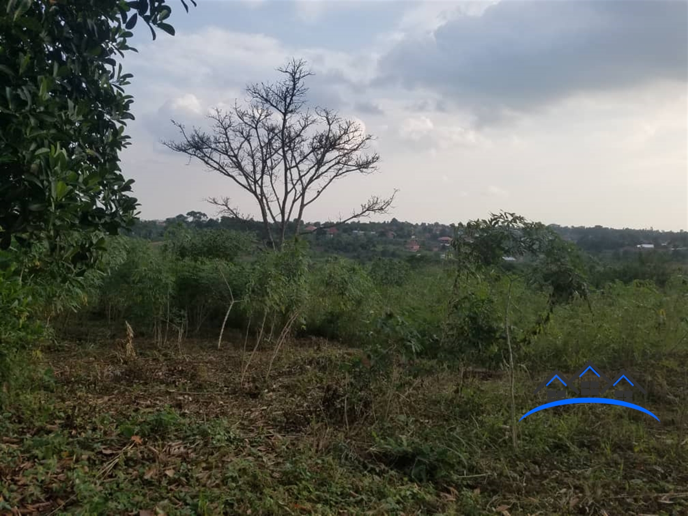 Commercial Land for sale in Lugo Wakiso