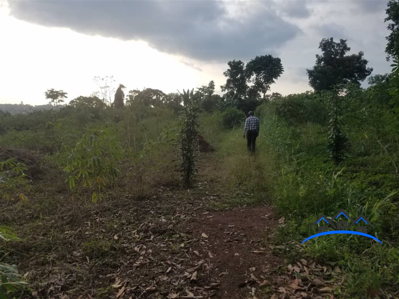 Commercial Land for sale in Lugo Wakiso