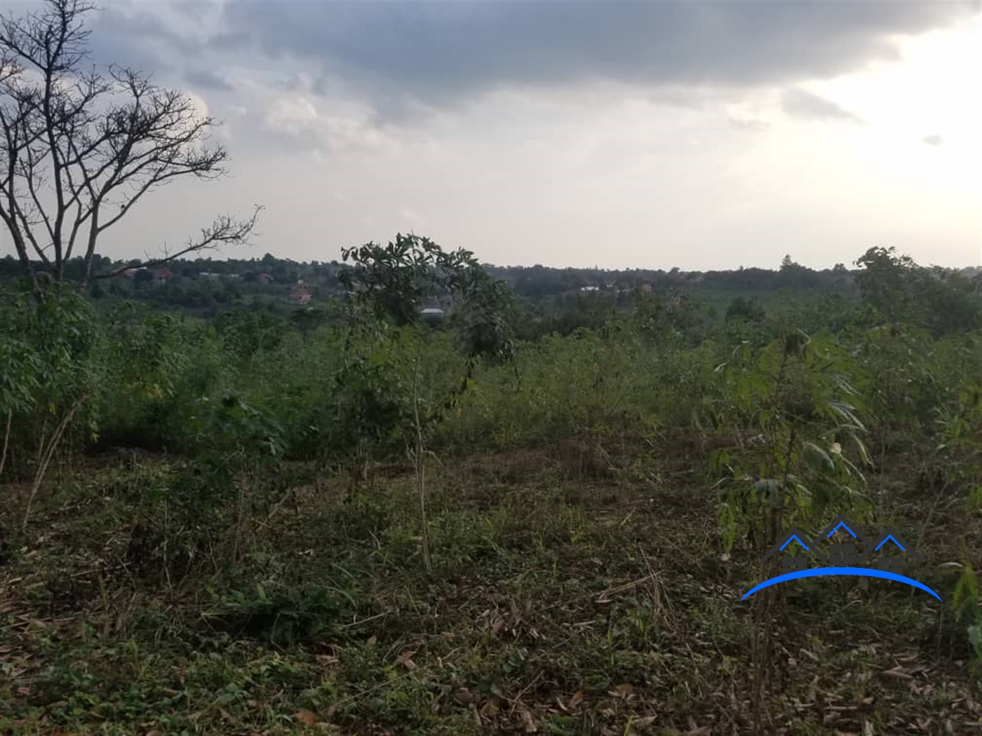 Commercial Land for sale in Lugo Wakiso