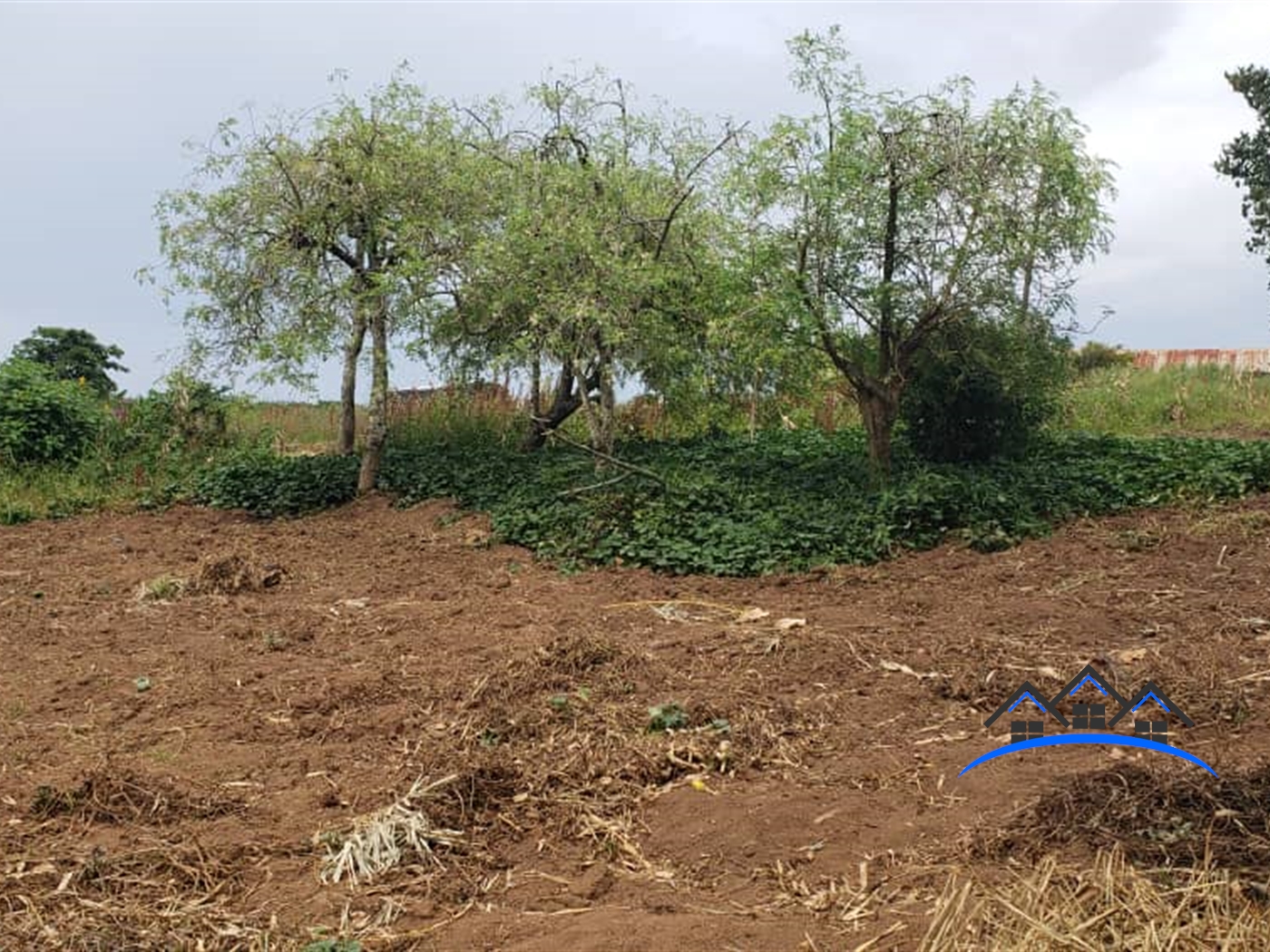 Residential Land for sale in Bwelenga Bugiri