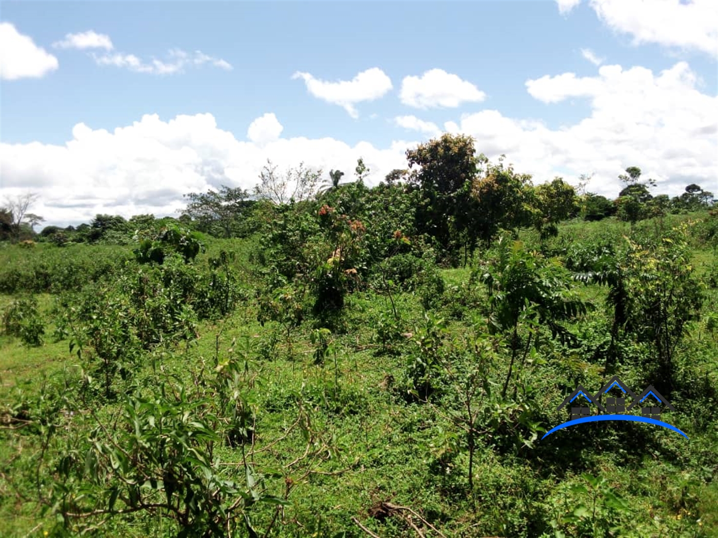 Residential Land for sale in Bussiisland Wakiso