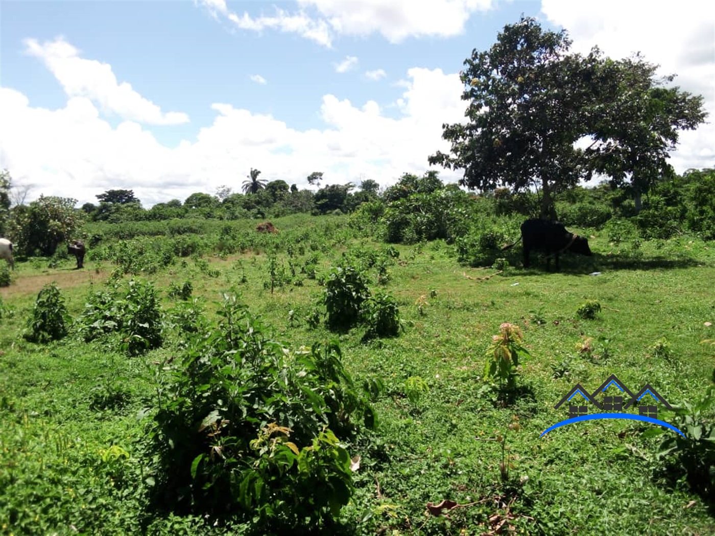 Residential Land for sale in Bussiisland Wakiso