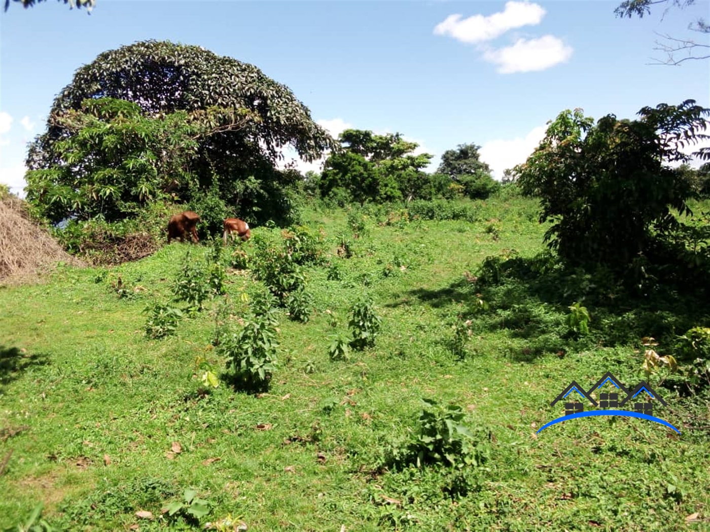 Residential Land for sale in Bussiisland Wakiso