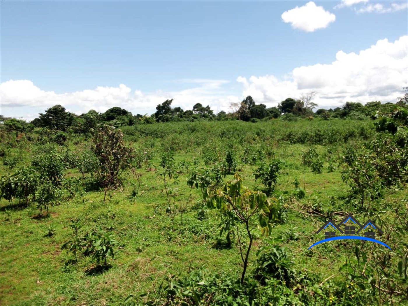 Residential Land for sale in Bussiisland Wakiso