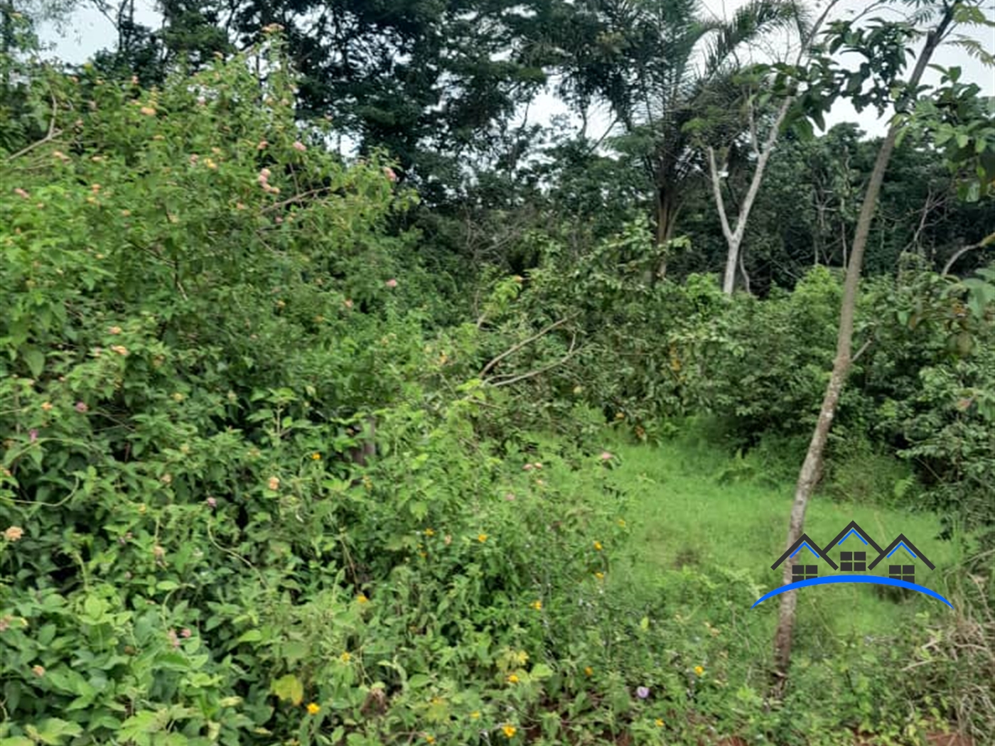 Residential Land for sale in Namayibba Mukono