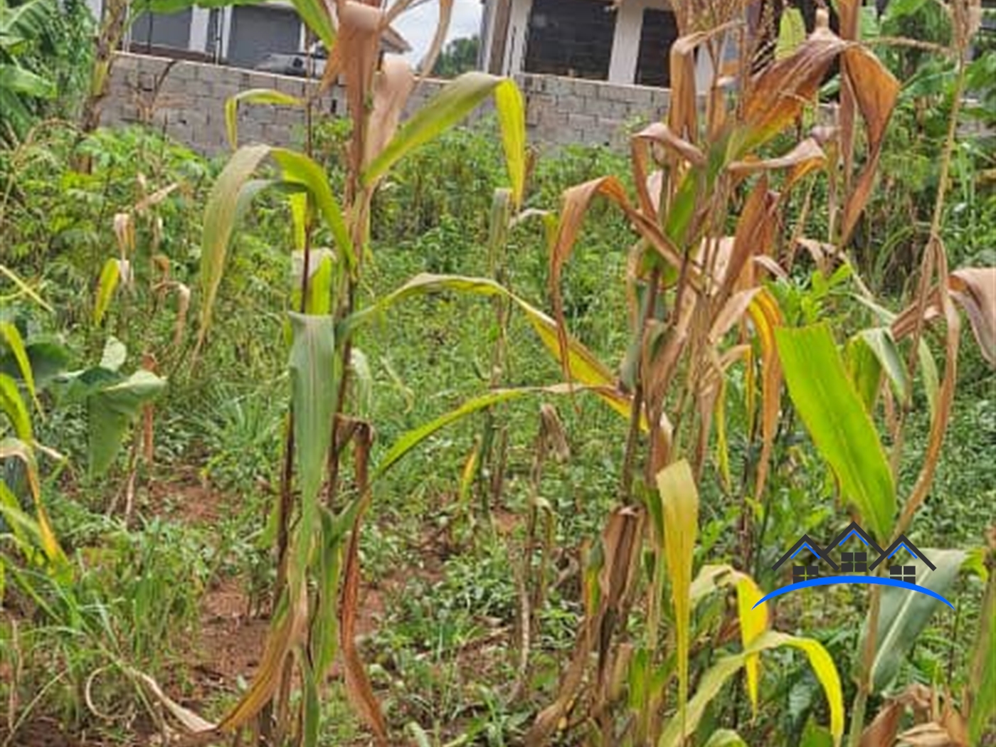 Residential Land for sale in Kira Wakiso