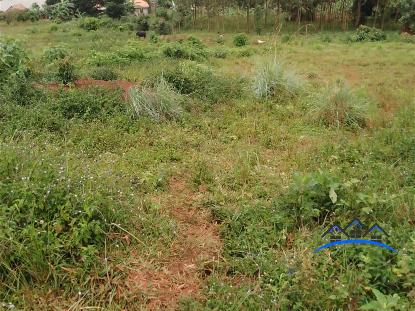 Residential Land for sale in Bukasa Wakiso