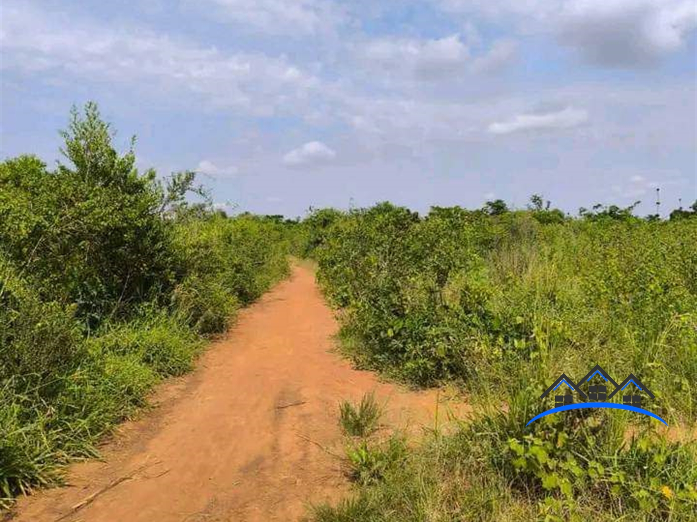 Agricultural Land for sale in Kakooge Luweero