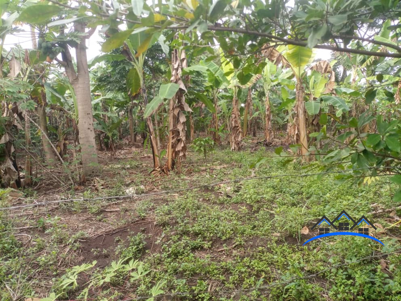 Residential Land for sale in Nabutaka Luweero