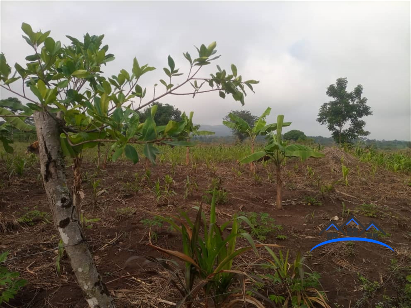 Residential Land for sale in Nabutaka Luweero