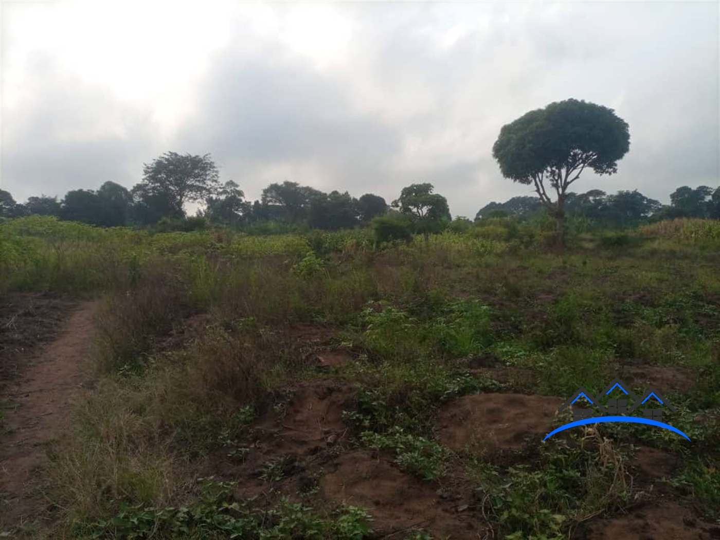 Residential Land for sale in Nabutaka Luweero