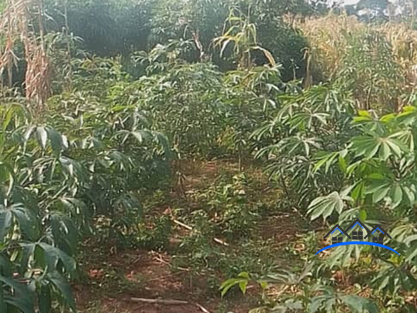 Residential Land for sale in Bukasa Wakiso