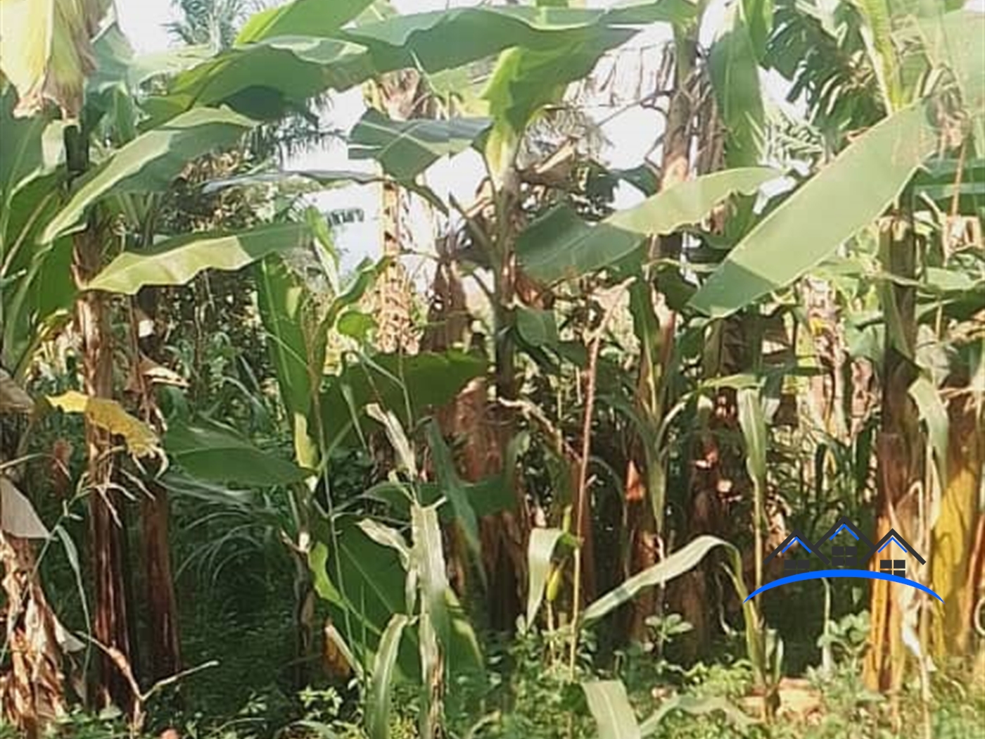 Residential Land for sale in Bukasa Wakiso