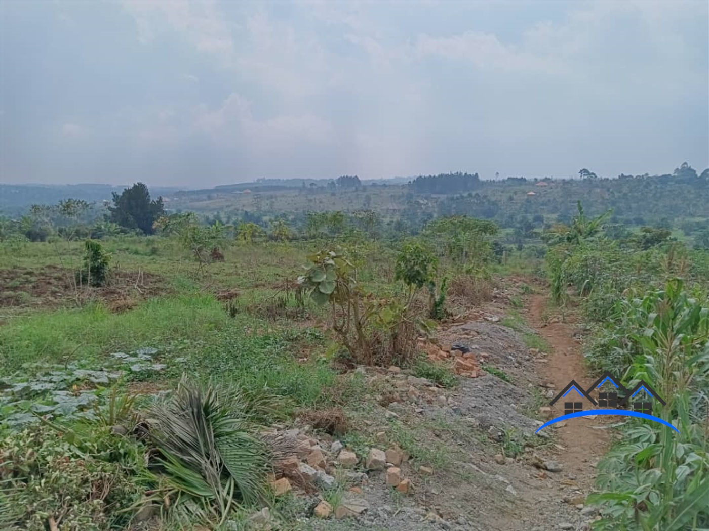 Residential Land for sale in Namugongo Wakiso