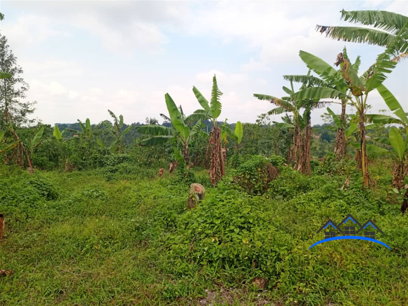 Residential Land for sale in Baaka Wakiso