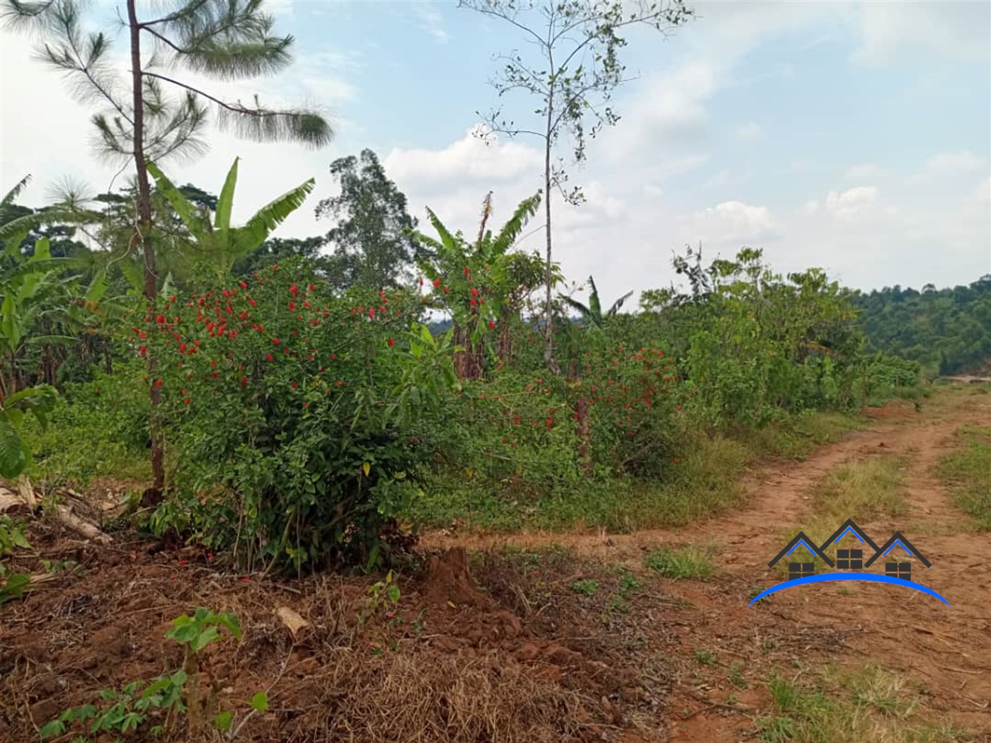 Residential Land for sale in Baaka Wakiso