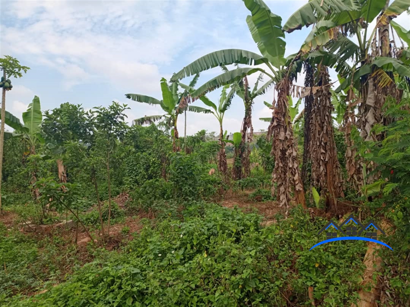 Residential Land for sale in Baaka Wakiso