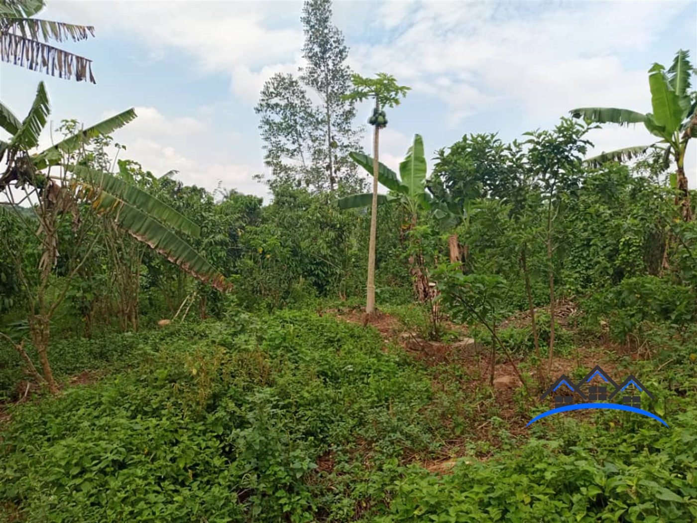 Residential Land for sale in Baaka Wakiso