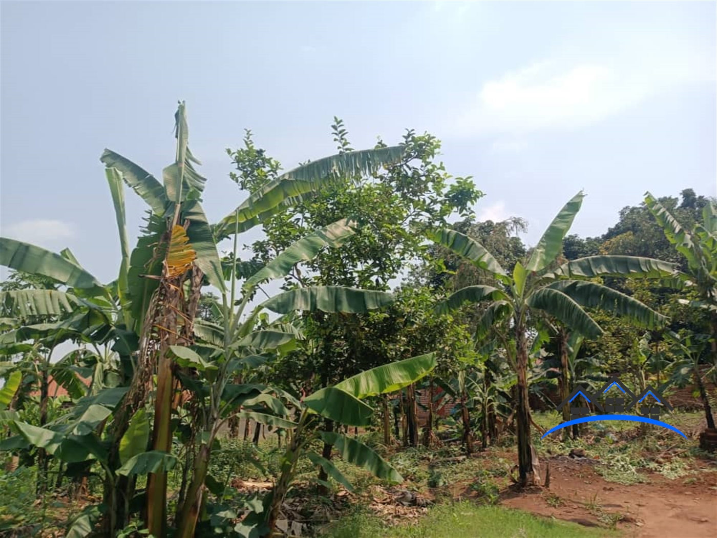 Residential Land for sale in Naalya Wakiso