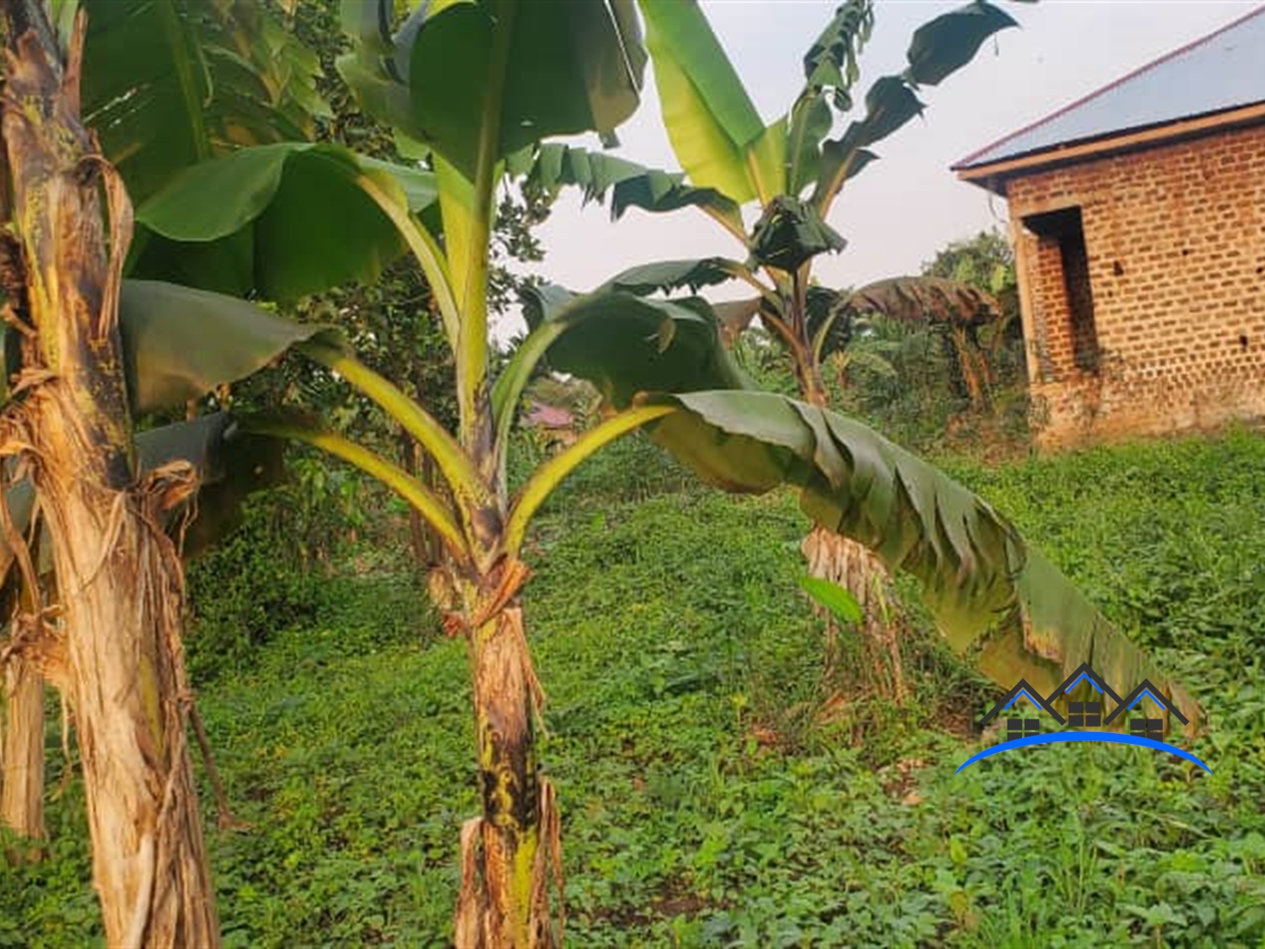 Residential Land for sale in Matugga Wakiso