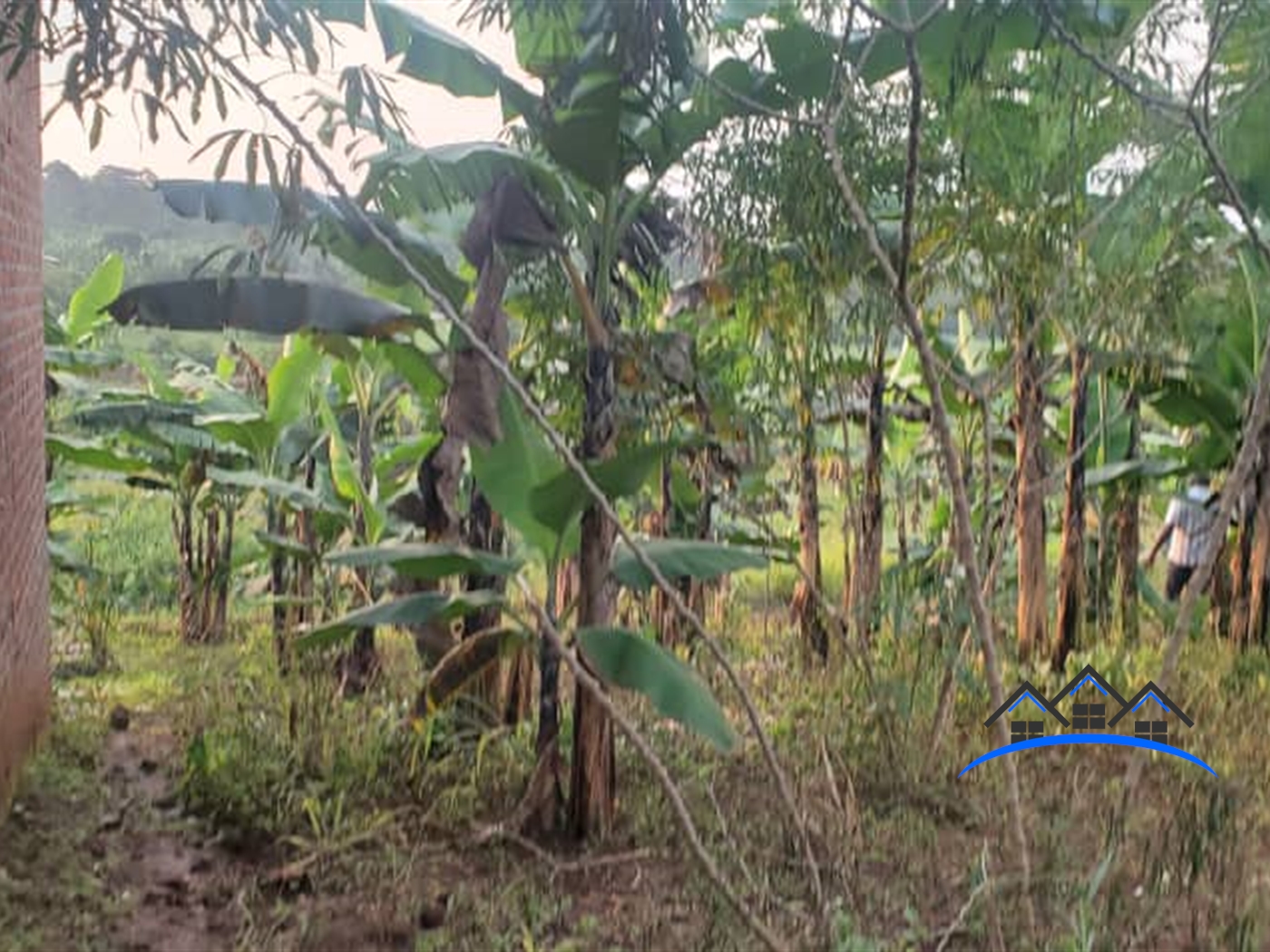 Residential Land for sale in Matugga Wakiso