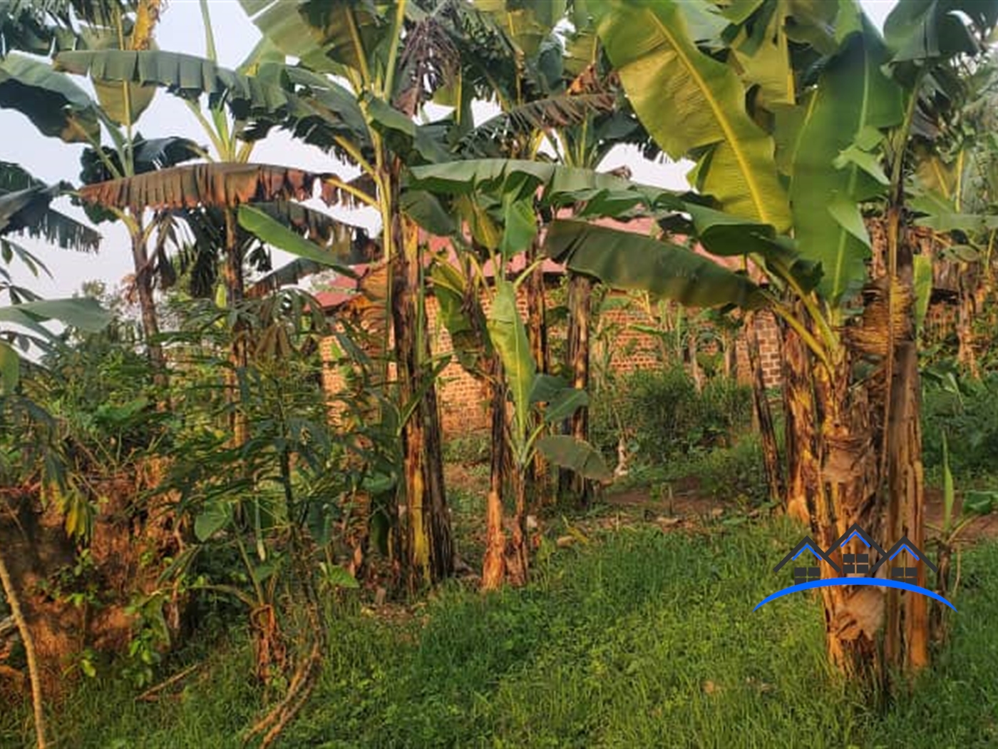 Residential Land for sale in Matugga Wakiso