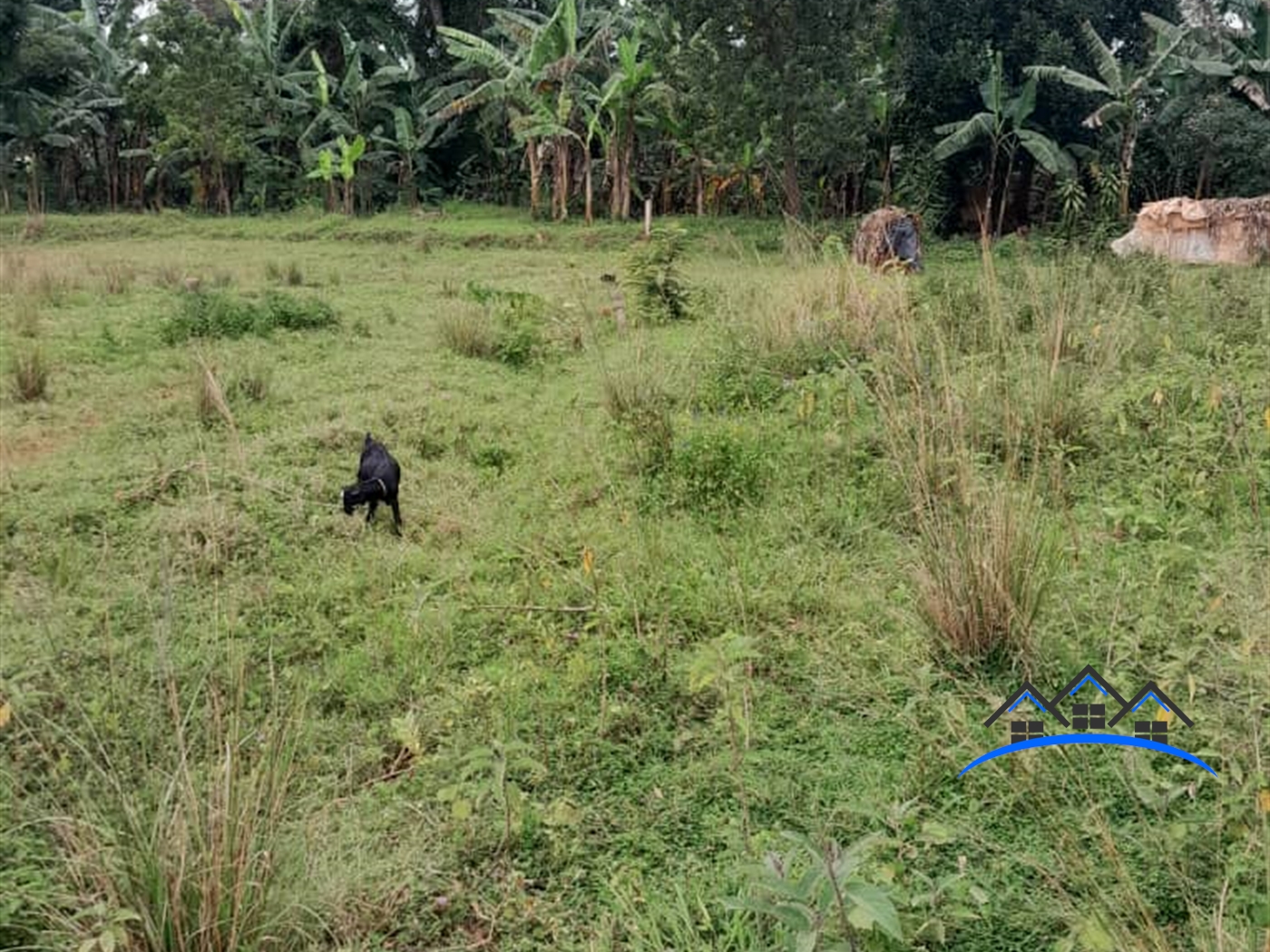 Residential Land for sale in Kijabijo Wakiso