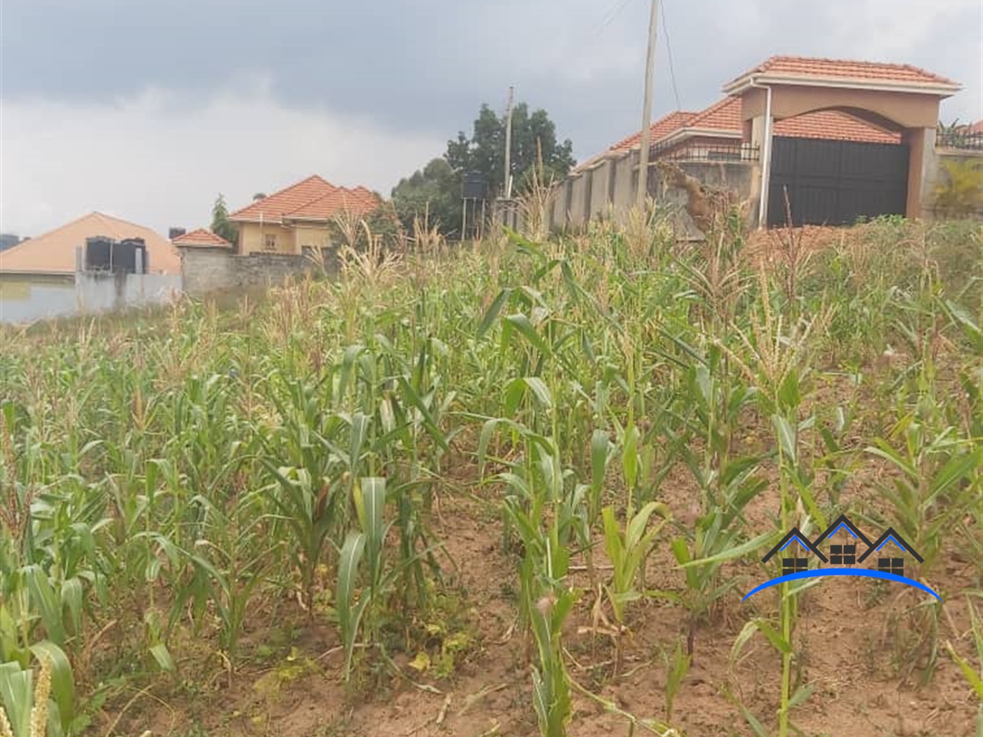 Residential Land for sale in Kajjansi Wakiso