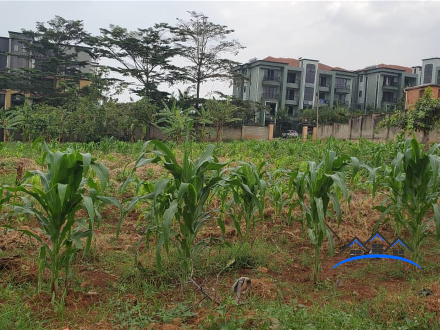 Residential Land for sale in Kyanja Wakiso