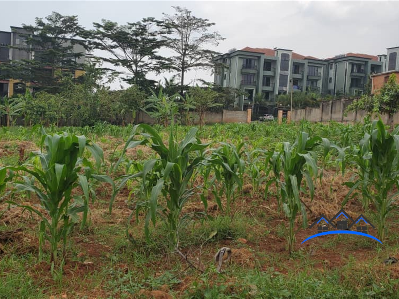 Residential Land for sale in Kyanja Wakiso