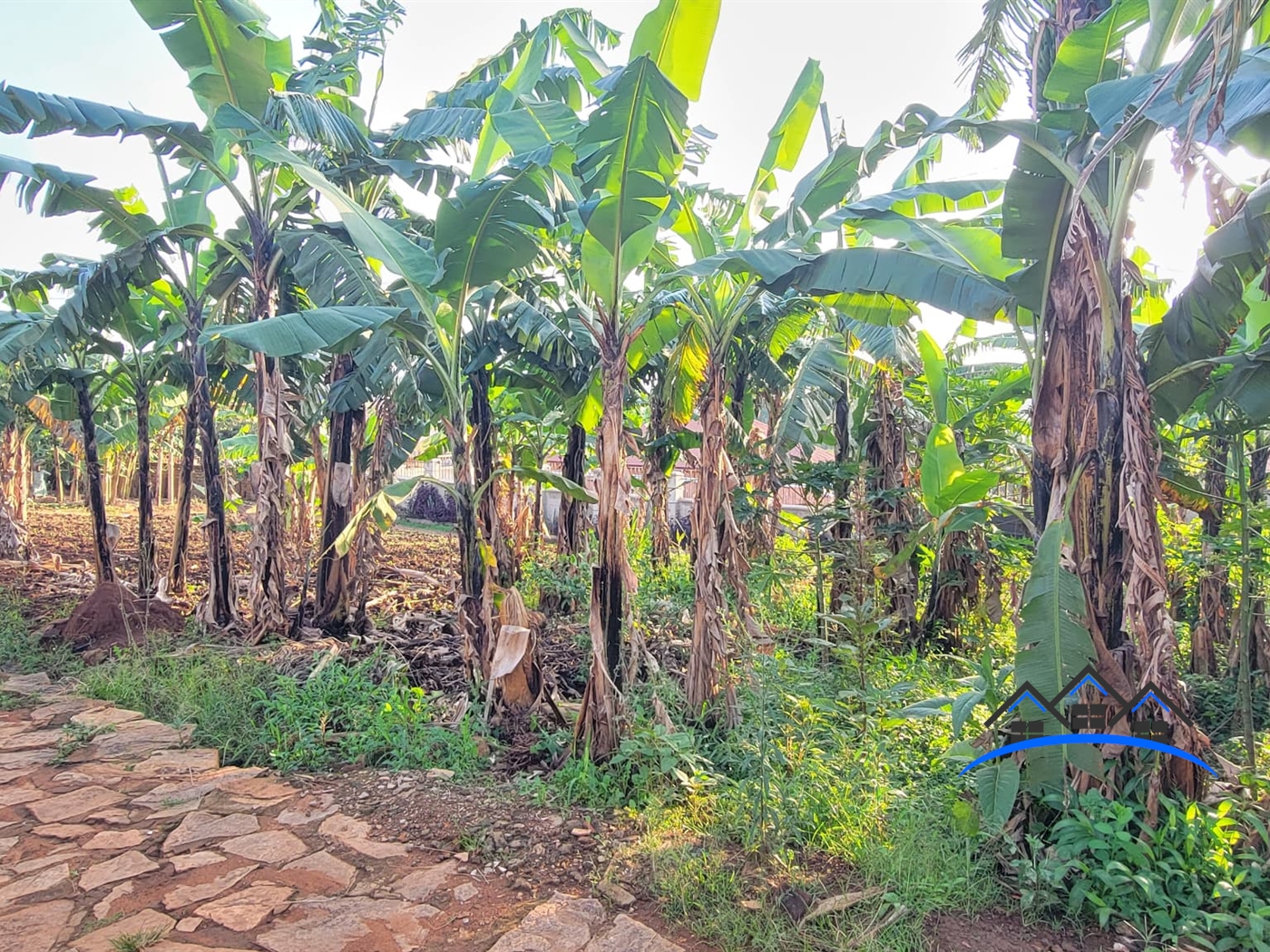 Residential Land for sale in Namugongo Wakiso