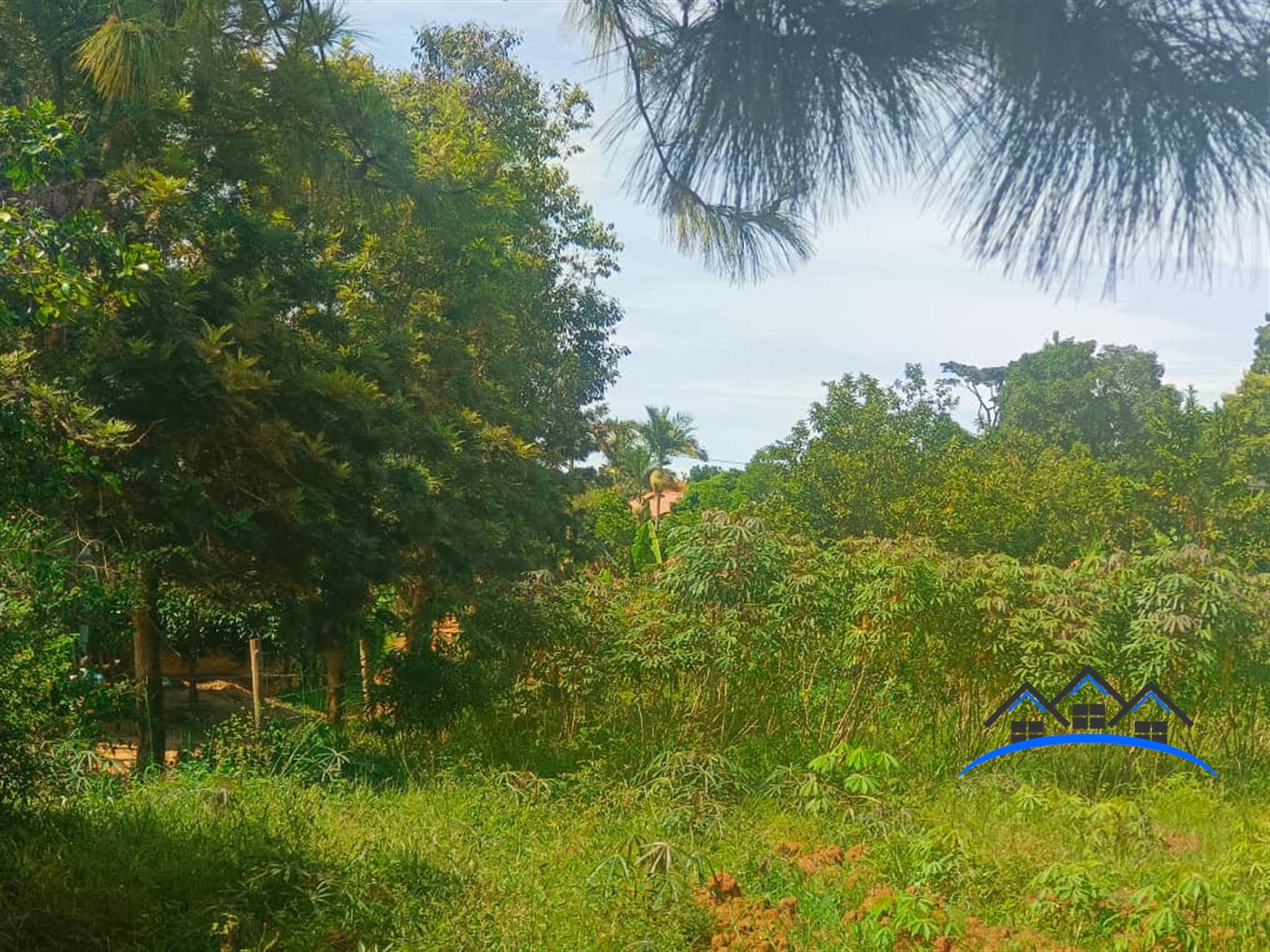 Residential Land for sale in Muyenga Kampala