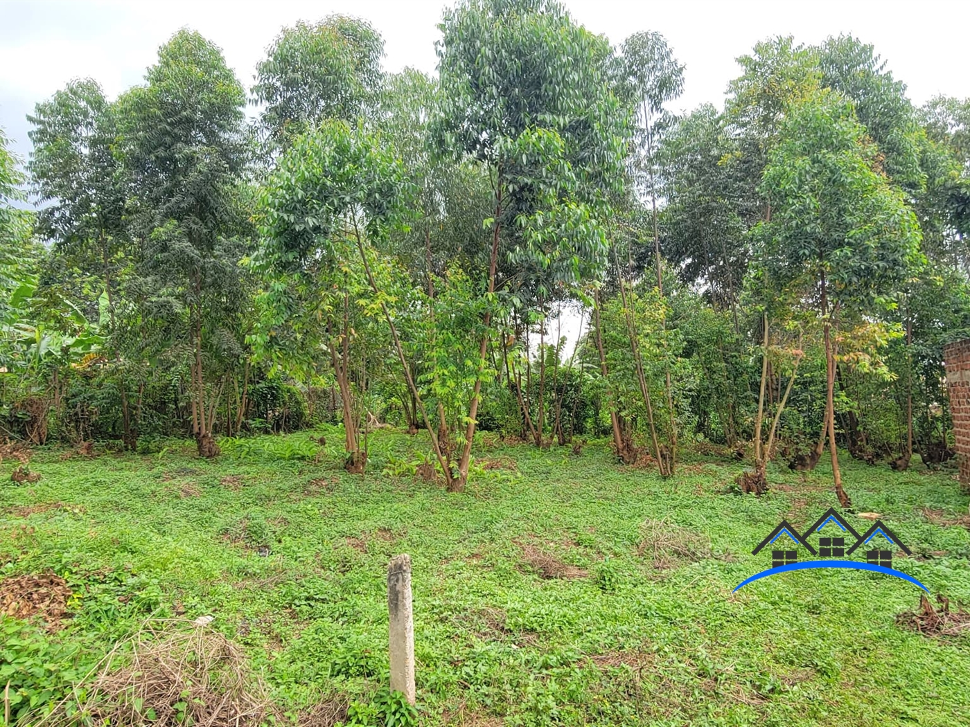 Residential Land for sale in Kira Wakiso