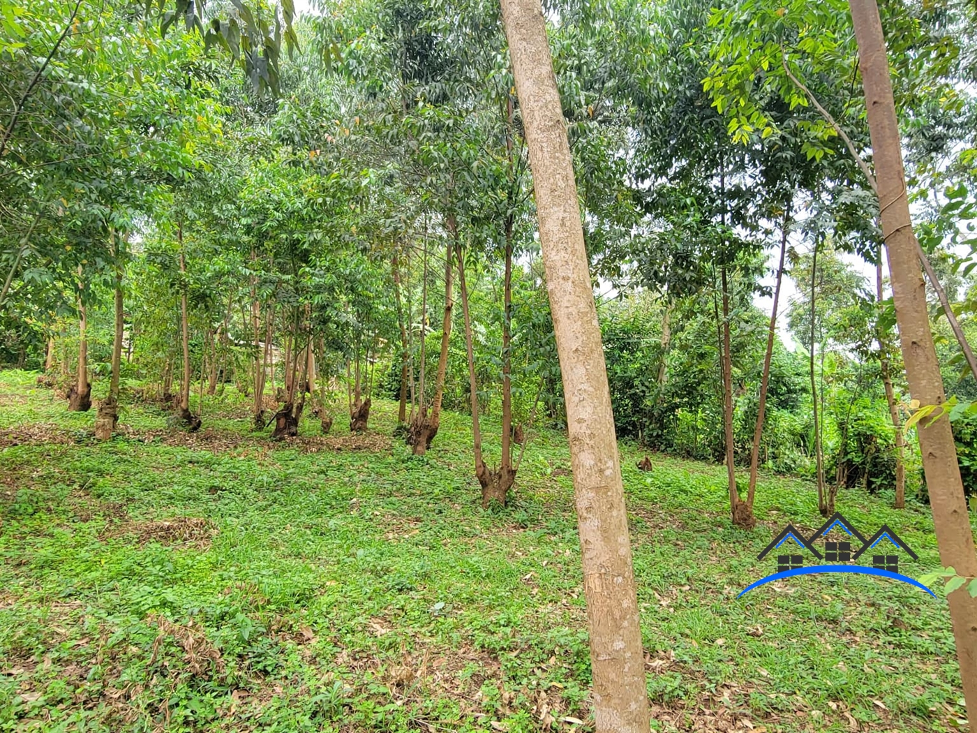 Residential Land for sale in Kira Wakiso