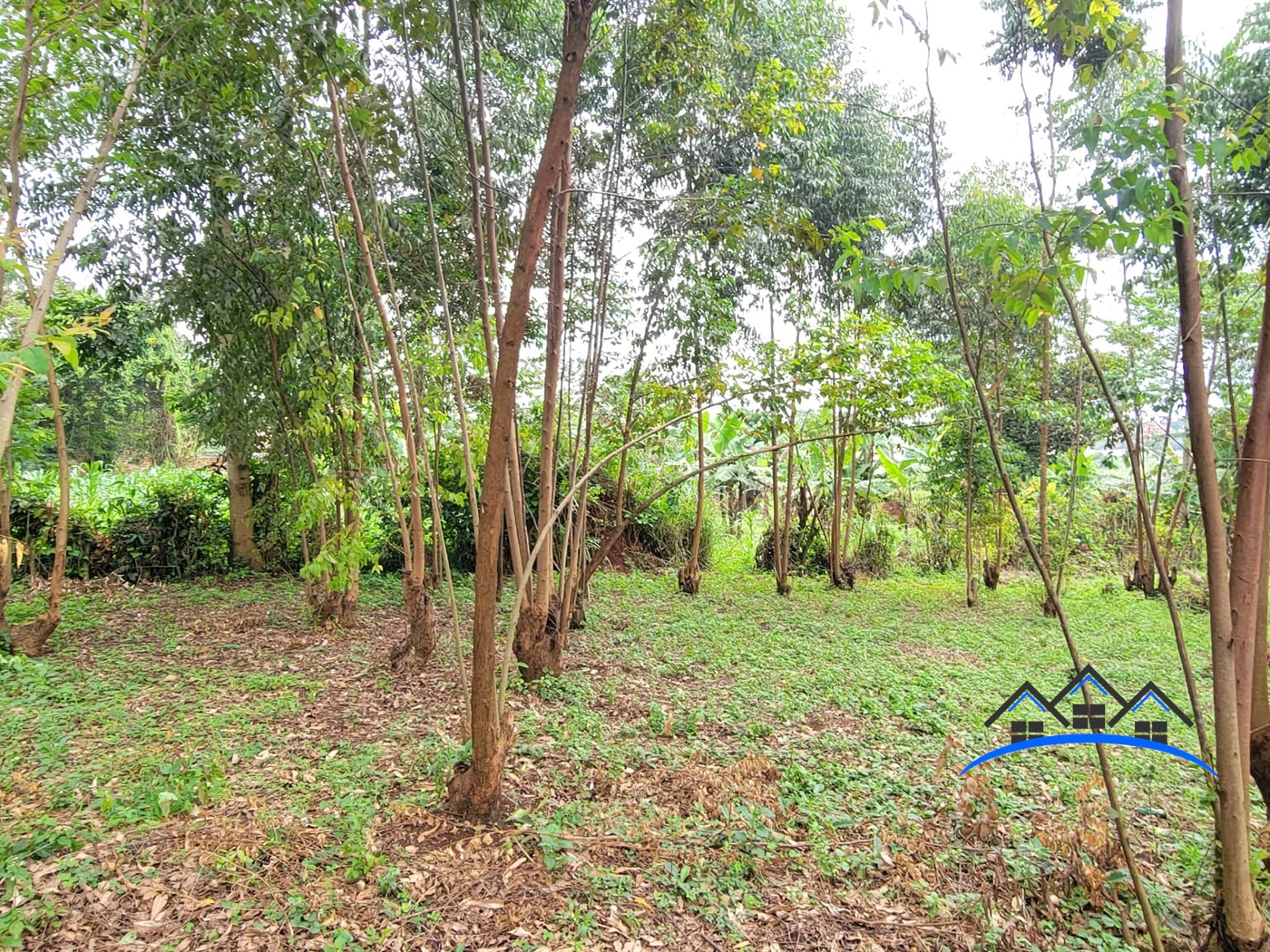 Residential Land for sale in Kira Wakiso