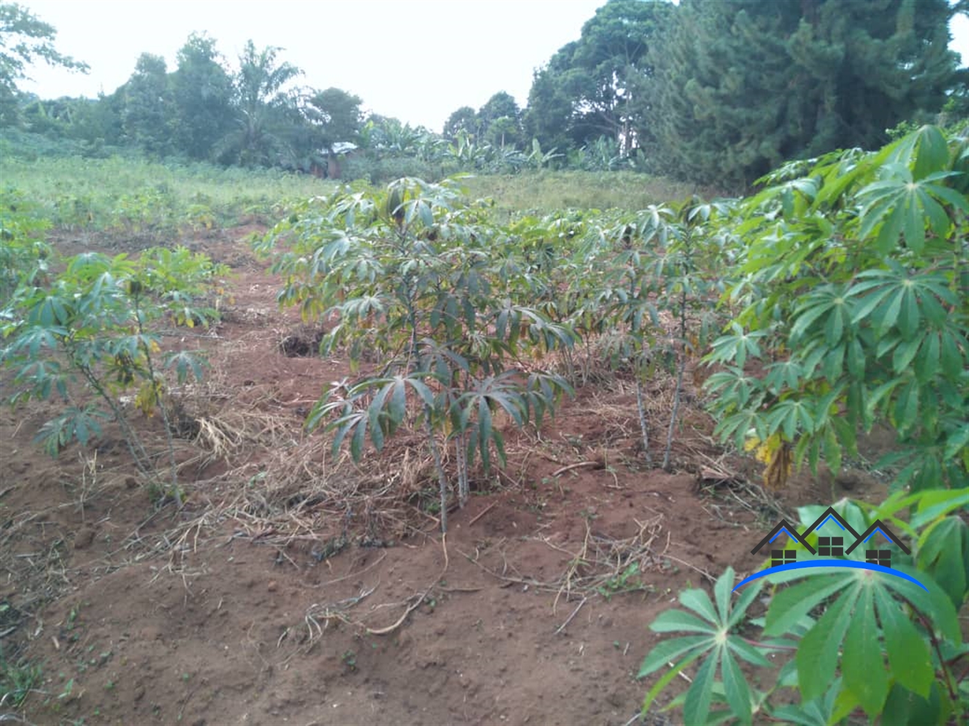 Residential Land for sale in Garuga Wakiso