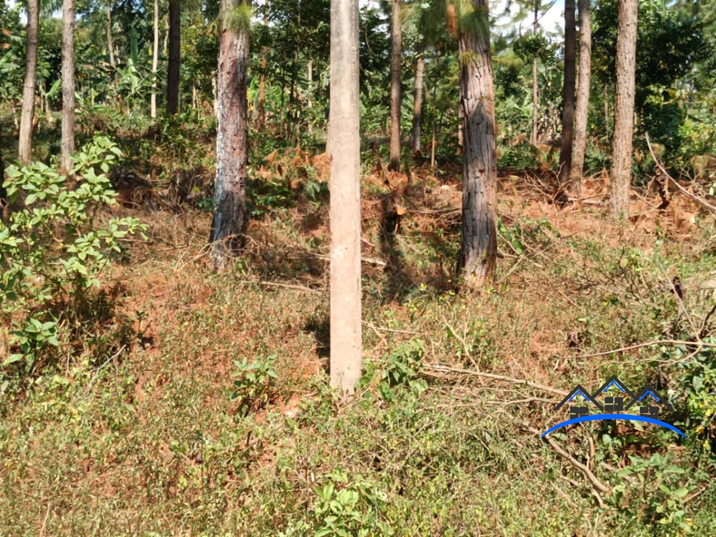 Residential Land for sale in Bwebajja Wakiso