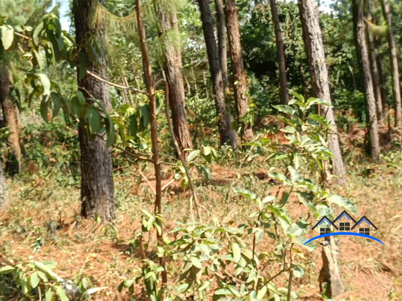 Residential Land for sale in Bwebajja Wakiso