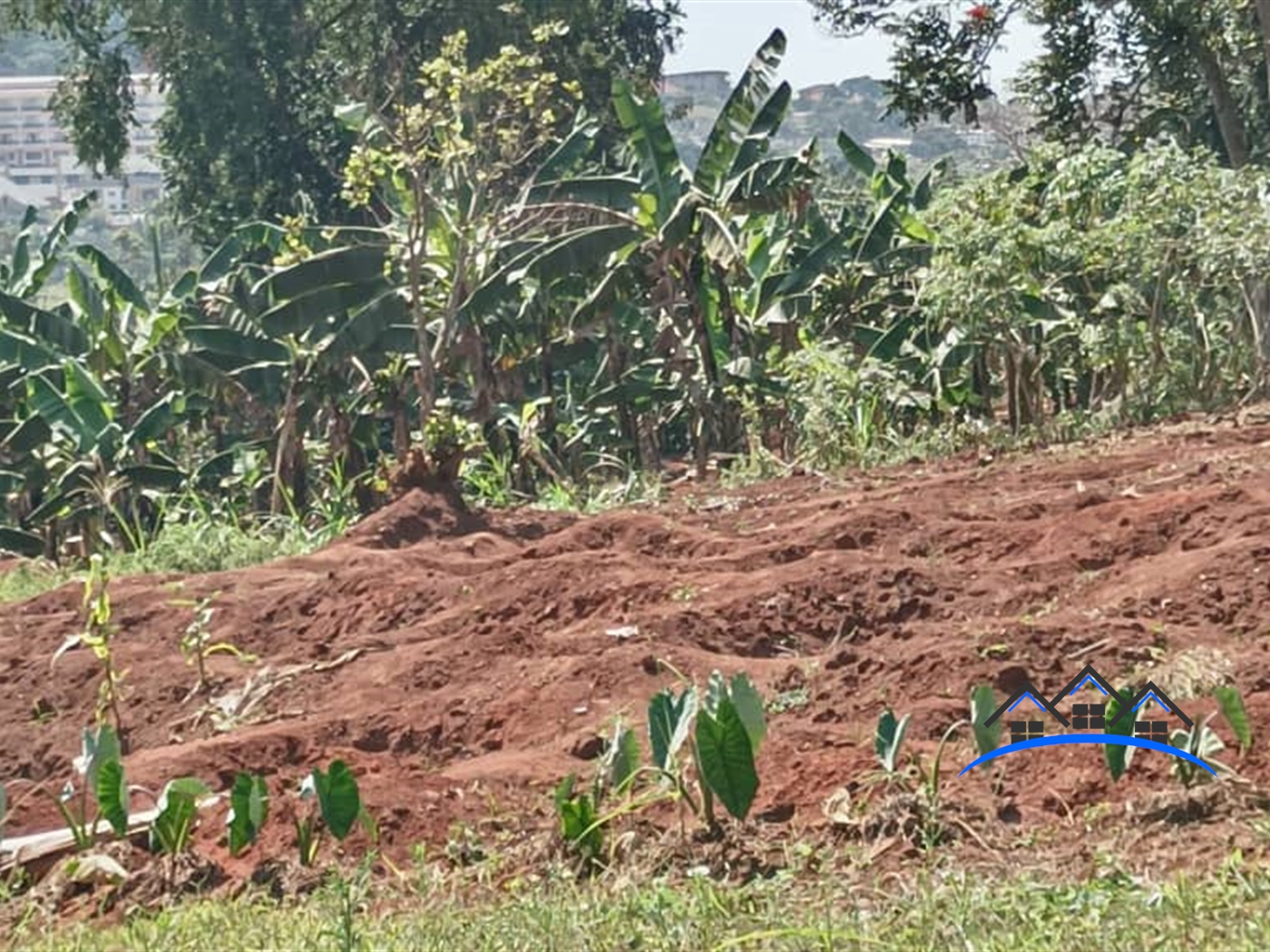 Residential Land for sale in Bwebajja Wakiso