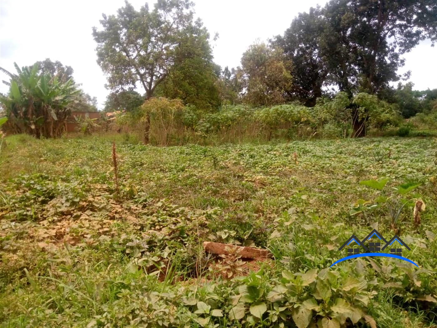 Residential Land for sale in Entebbe Wakiso