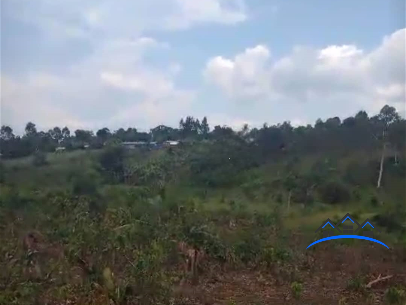 Farm for sale in Kiwawu Mityana