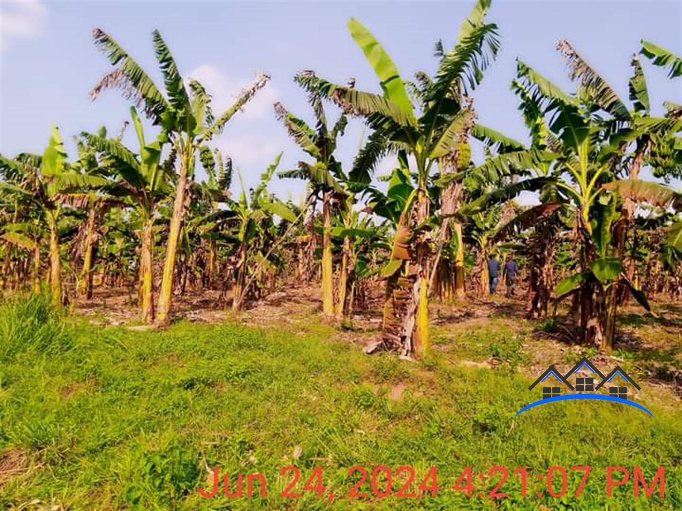 Commercial Land for sale in Namugongo Wakiso